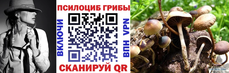 Купить закладки  Змеиногорск  Галлюциногенные грибы прущие грибы 